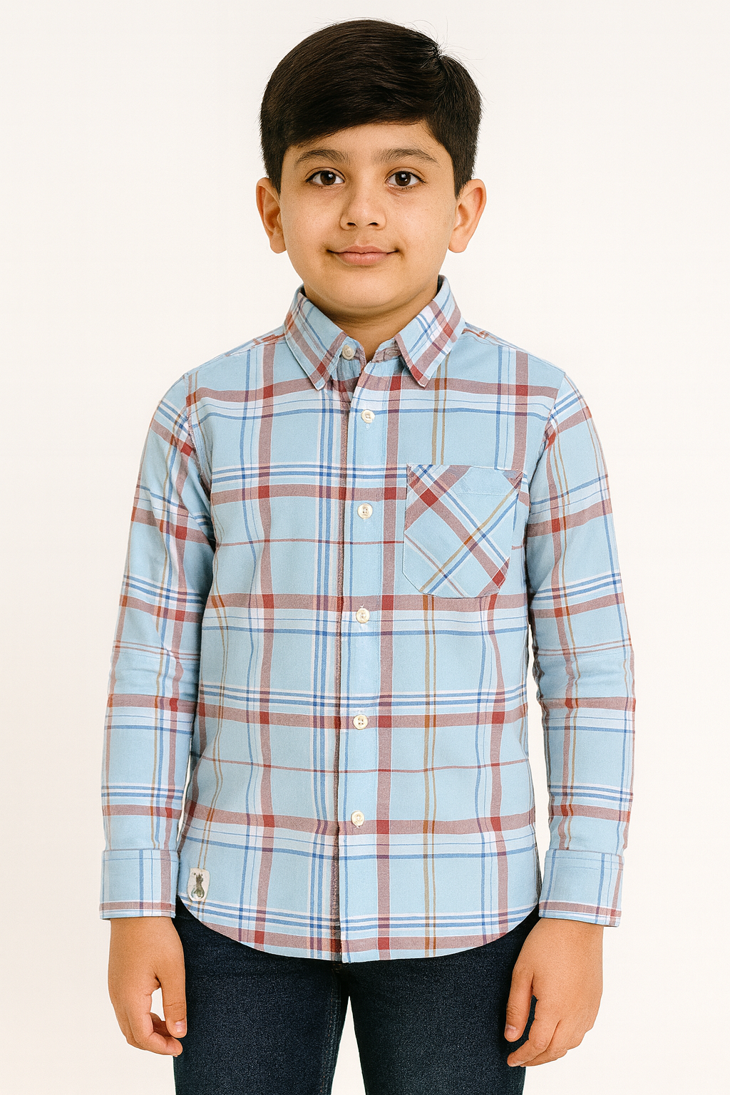 Light Blue Checked Full Sleeve Shirt Stylish Casual and Party Wear Shirt - Inayah Fashion